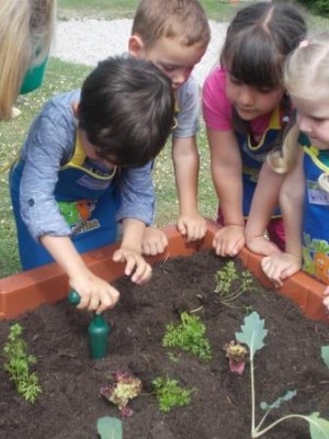 Pflanzaktion im Kindergarten St. Johannes