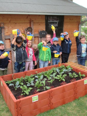 Pflanzaktion im Kindergarten Sonnenschein