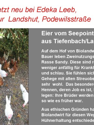 Bio-Eier vom Seepointerhof in Tiefenbach/Landshut
