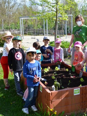 Pflanzaktion im SpielRaum Kinderhaus