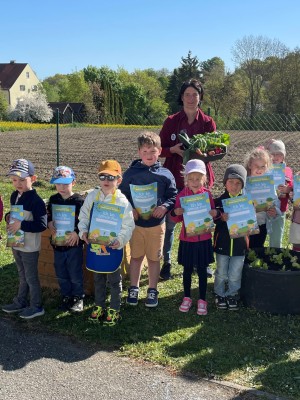 Gemüsebeet für Kindergarten St. Stephan