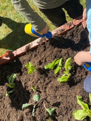 Gemüsebeet für Kindergarten St. Josef 